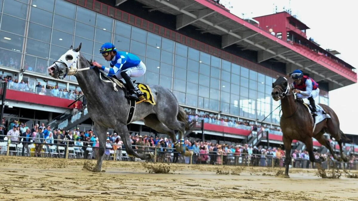 2025 Preakness Stakes: Everything You Need to Know Without Sovereignty